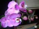 DSC07621