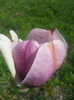 20150427_113039