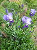 20150504_165535