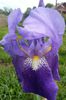 20150504_165601-1