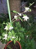 20150504_202308