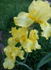 20150513_193900