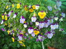 DSCN7635
