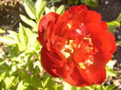 P1230714