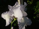 P1220081