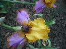 P1220100