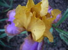 P1220101