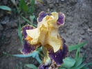 P1220102