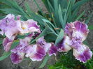 P1220106