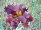 P1220112