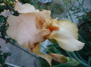 P1220118