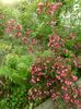 SAM_6374