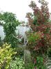 SAM_6481