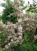 SAM_6567