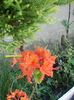 DSCN1642