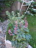 DSCN1649