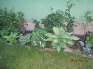 DSCN1670