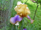 DSCN6604