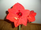 SAM_5092