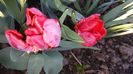 20150430_185311