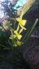 20150508_181352