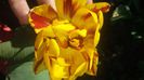 20150508_181445