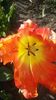 20150508_181502