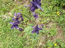 DSCF3767
