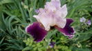 IMG_20150515_143020