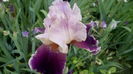 IMG_20150515_143028