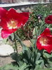 IMG_20150503_124105