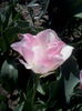 IMG_20150503_124158