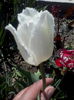 IMG_20150503_124210