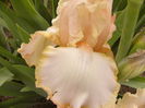 P1230736