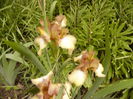 P1230740