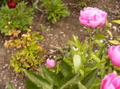 P1230780