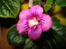DSC01082