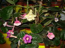 DSC01087