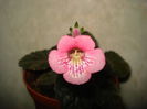 DSC01090
