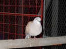 DSC07970