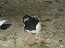 Picture 5789