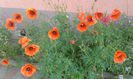 20150513_090935