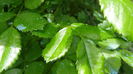 DSC00002