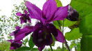DSC00004