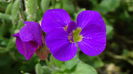DSC00007