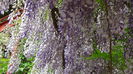 DSC00009