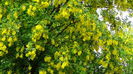 DSC00015