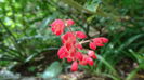 DSC00019