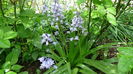 DSC00028
