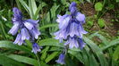 DSC00030